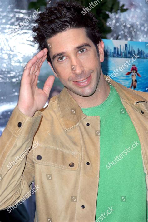 David Schwimmer Editorial Stock Photo - Stock Image | Shutterstock