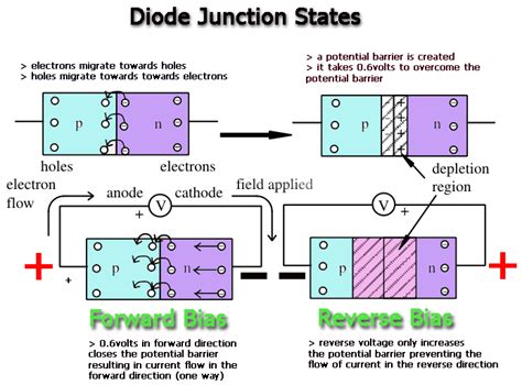 DIode action