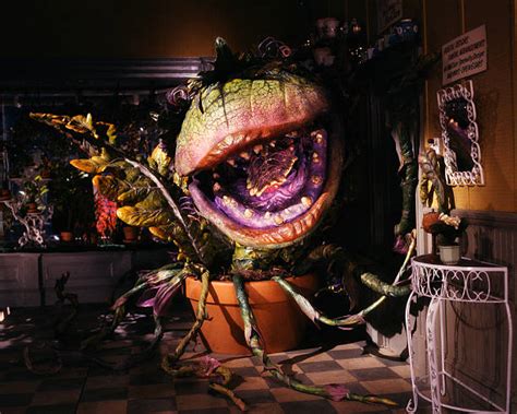 Audrey II Plant From the Film Little Shop of Horrors Pictures | Getty Images