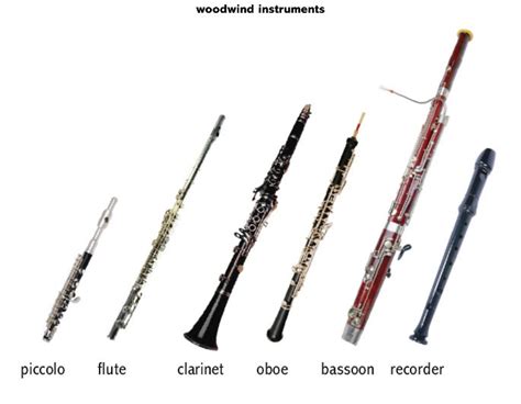 Instruments of Orchestra: The Woodwind Section