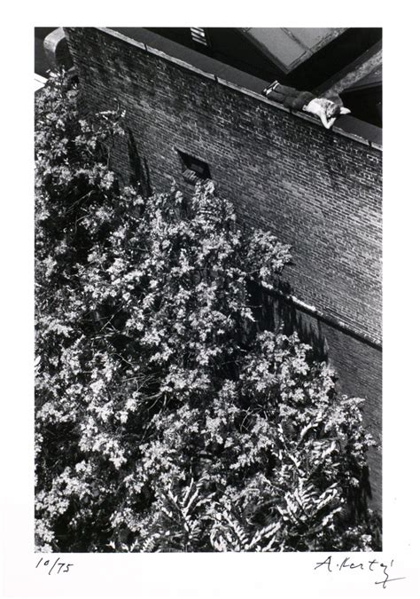 [Woman lying on top of a wall] | International Center of Photography