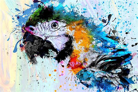 Abstract Multi Color Parrot Sparrow Bird Painting on Canvas Painting by Donodio - Pixels