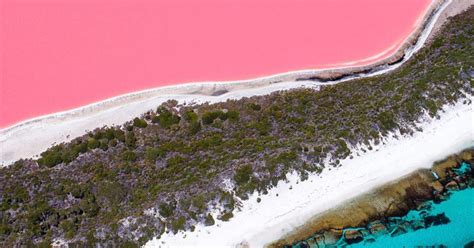 Pink Lakes Of Western Australia: Everything You Need To Know