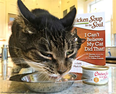 The Chronicles of Cardigan: Q. What's Chicken Soup for the Soul? A. Every Pet Ever #MyPetIsMyHero