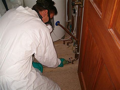 Carpenter Ant treatment in Sussex NJ | Pest Removal Service New JerseyAssure Pest Control