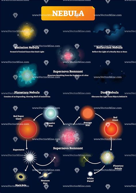 Nebula vector illustration infographic | Nebula, Astronomy facts ...