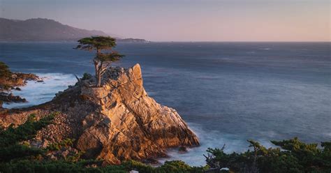 In Defiance of Apple, This is a Nature-Themed macOS Monterey Wallpaper ...