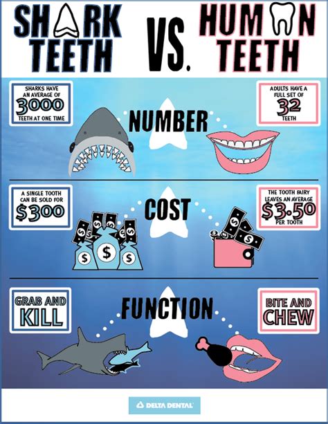 Sink Your Teeth into Shark Week | Delta Dental of Arizona Blog - Tips ...