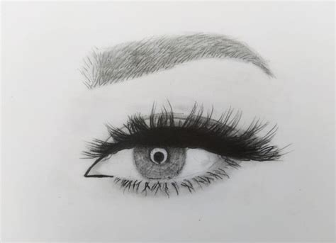 How To Draw Eyebrows Step By Step Easy : Easy Tips For Drawing ...