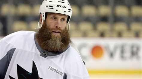 Joe Thornton’s cat loves playing in that outrageous playoff beard | For The Win