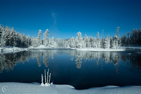 Yellowstone in Winter, 2019