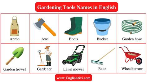 Gardening Tools Names in English with Pictures - Englishtivi
