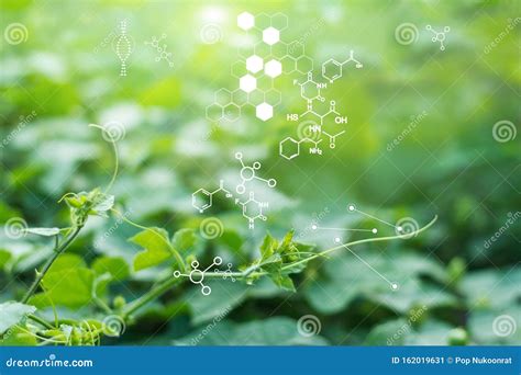 Biology Laboratory Nature and Science, Plants with Biochemistry Structure on Green Background ...