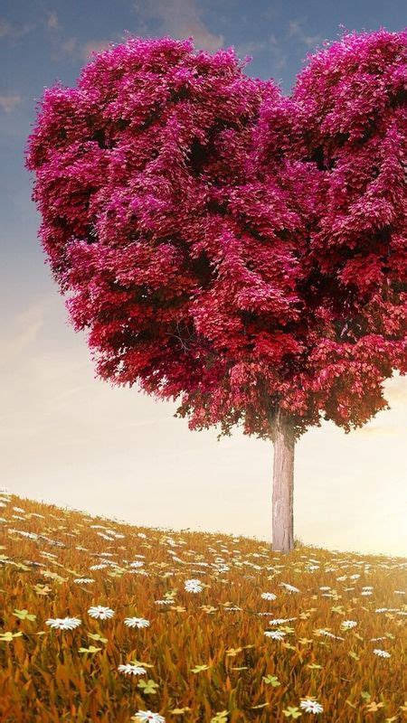 Love Photos - Nature - Love Wallpaper Download | MobCup