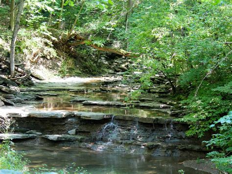 Cincinnati Nature Center - A Great Place to Explore the Outdoors