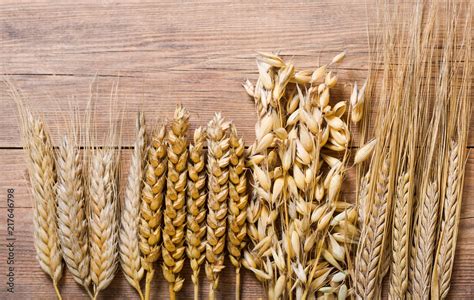 ears of wheat, rye, barley and oats Stock Photo | Adobe Stock