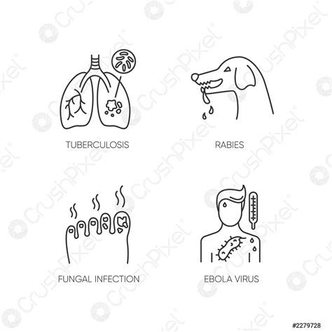 Infectious diseases pixel perfect linear icons set Tuberculosis, rabies, fungal - stock vector ...
