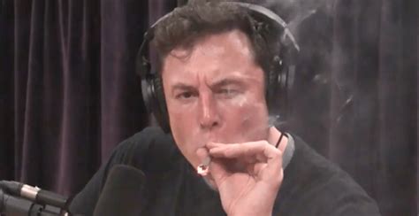 Elon Musk smokes a joint with Joe Rogan during podcast (VIDEO) | Grow