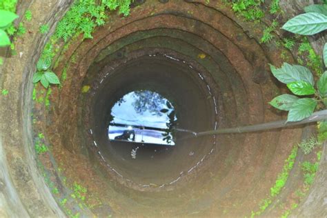 Citizen scientists help discover blind catfish in Kerala’s aquifers