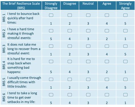 The Brief Resilience Scale — Integral