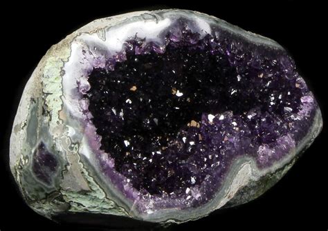 8" Dark Amethyst Crystal Geode - Top Quality (#36906) For Sale - FossilEra.com