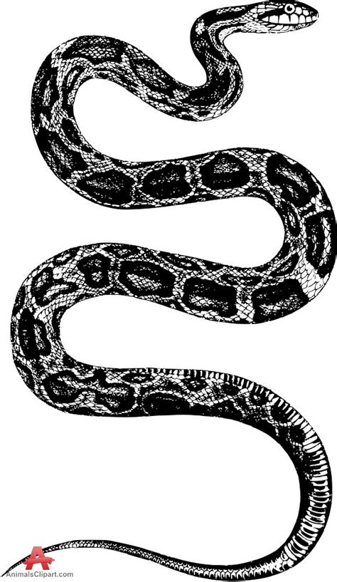 2016.04.19_18.34.13 | Dibujo de serpiente, Tatuaje de serpiente, Arte de serpiente