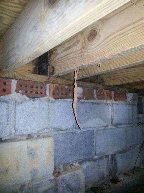 Prime Pest Solutions: Termite Mud Tubes!