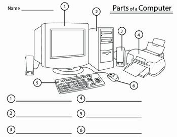 50 Computer Basics Worksheet Answer Key