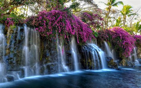 Waterfall Flowers Wallpapers - Wallpaper Cave