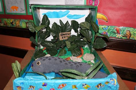 electric eel diorama | Diorama kids, Diorama, Electric eel