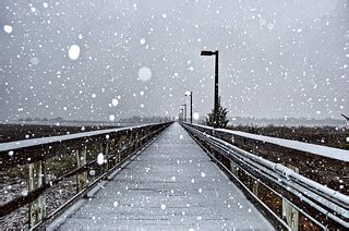 Snowy Dock | Aaron Alexander | Flickr
