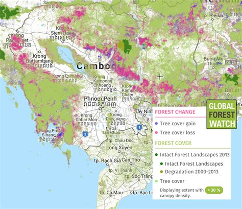 Scientists raise concern over road proposed through protected forest in ...