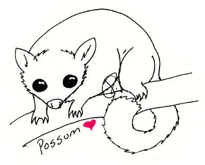 Possum by DragonNeko on DeviantArt