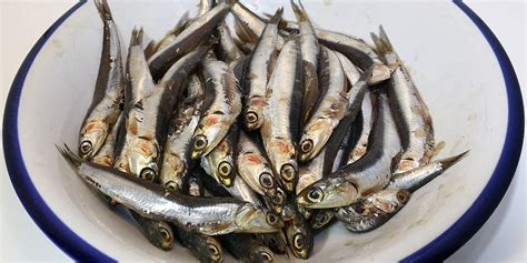 Anchovies Vs. Sardines: Is One Better Than The Other? - SAFIMEX JSC