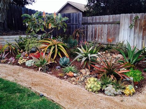 How to develop a low-maintenance water-wise garden | Kempton Express