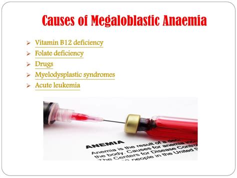 PPT - Megaloblastic Anaemia: Symptoms, causes, diagnosis, treatment and preventions. PowerPoint ...