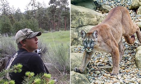 Epic moment hunters hear terrifying mountain lion scream | Daily Mail ...