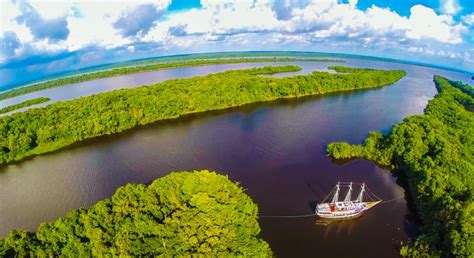 Manaos: tour de día completo por el río Amazonas | GetYourGuide