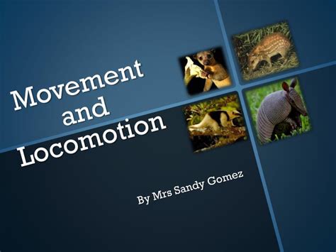 PPT - Movement and Locomotion PowerPoint Presentation, free download - ID:2051282