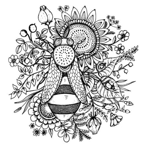 Bee flowers hand drawn vector eps | UIDownload