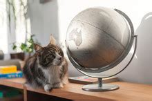 Cats With World Globe Free Stock Photo - Public Domain Pictures