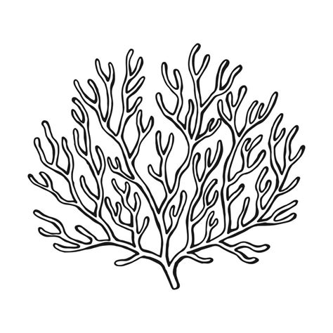 Coral. Hand drawn illustration converted to vector. 9475406 Vector Art at Vecteezy