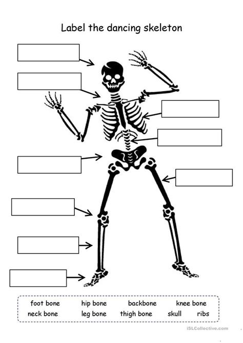 Label the skeleton - English ESL Worksheets | Fourth grade science ...