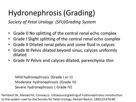 Hydronephrosis Grading Ultrasound