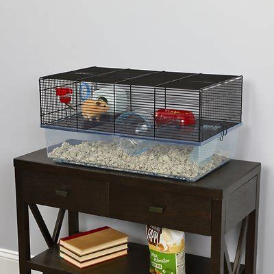 The 5 Best Dwarf Hamster Cages Of 2022 | We're All About Pets (2022)