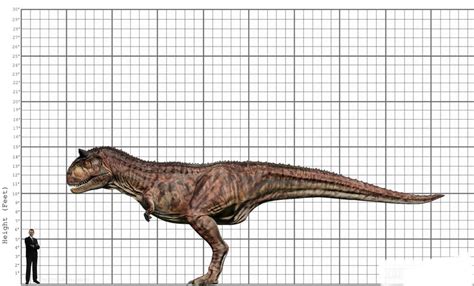 My Carnotaurus size comparison by EthanThomas2022 on DeviantArt