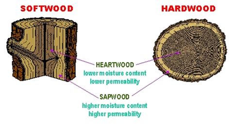 Latest News from Buy QLD Timber