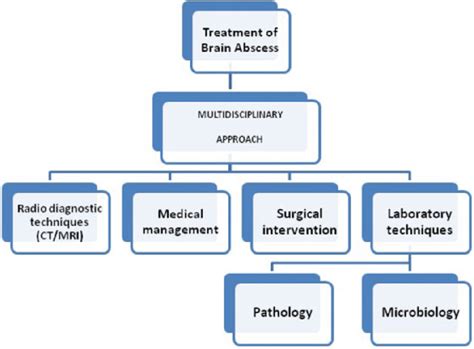 Multidisciplinary approach in management of brain abscess. CT ...