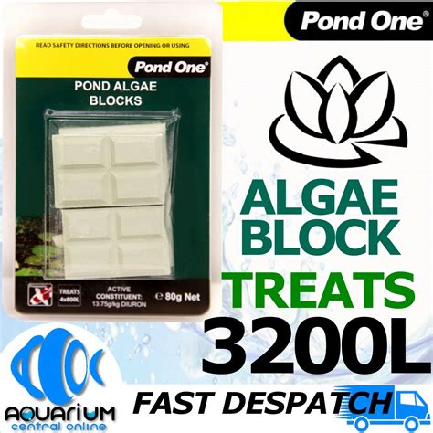 Aquadine aquarium algae block will it kill plants - nihac