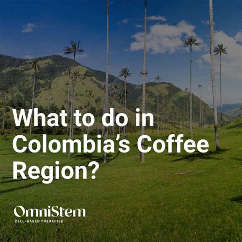 What to do in Colombia’s Coffee region during your wellness retreat